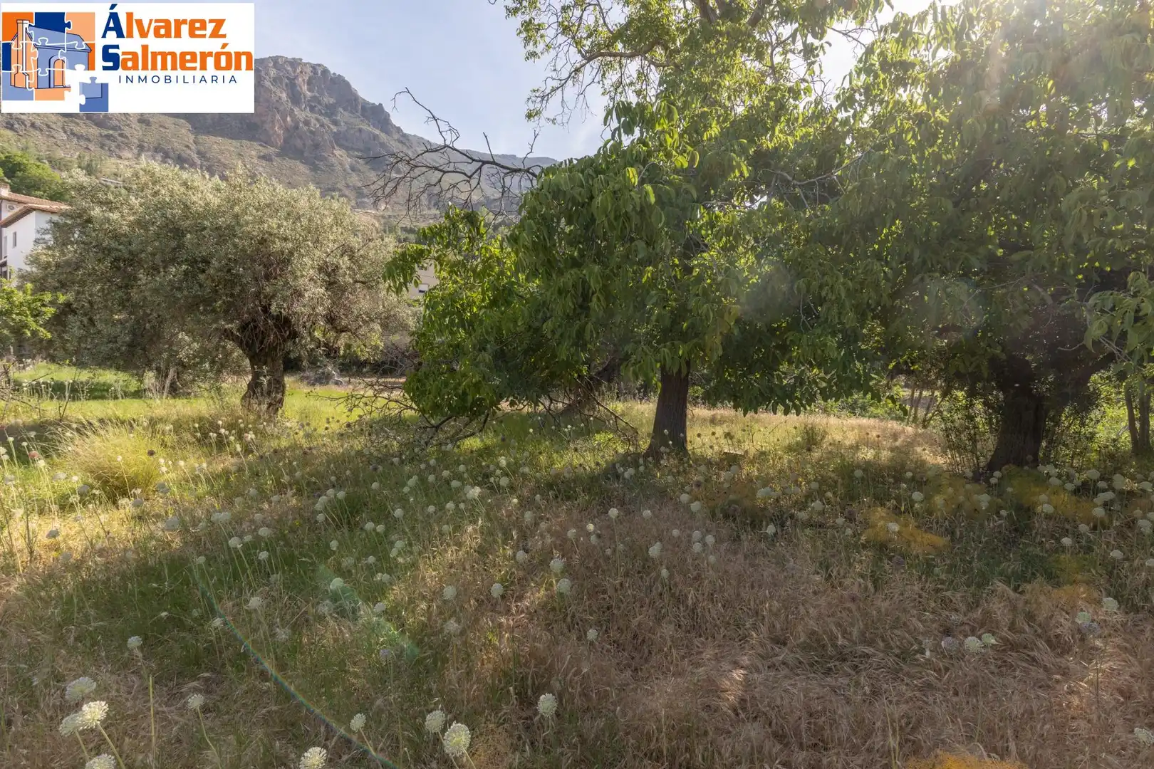 Lands and plots for sale in Carretera de Maitena, imagen 19