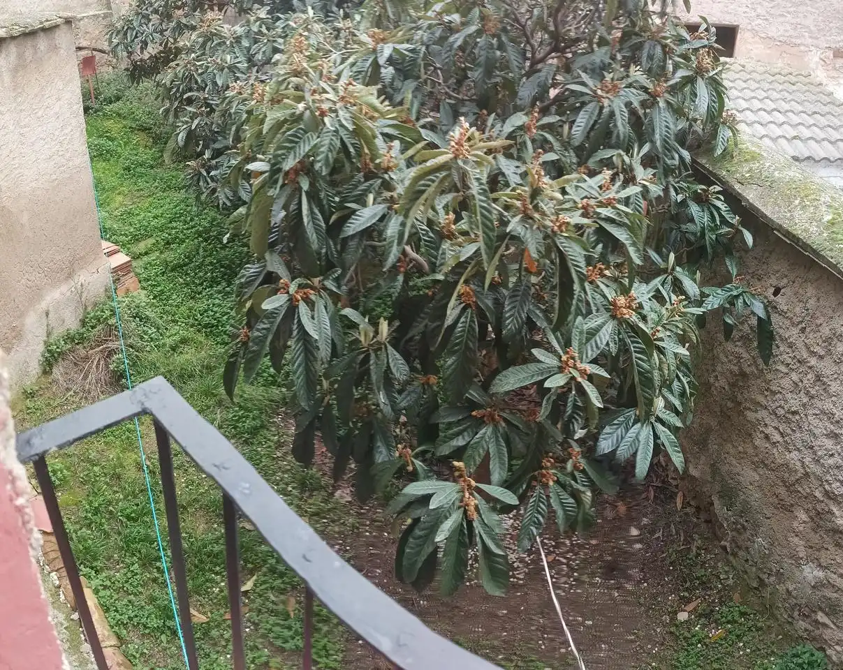Garden of Houses for sale in Morés  with Private garden