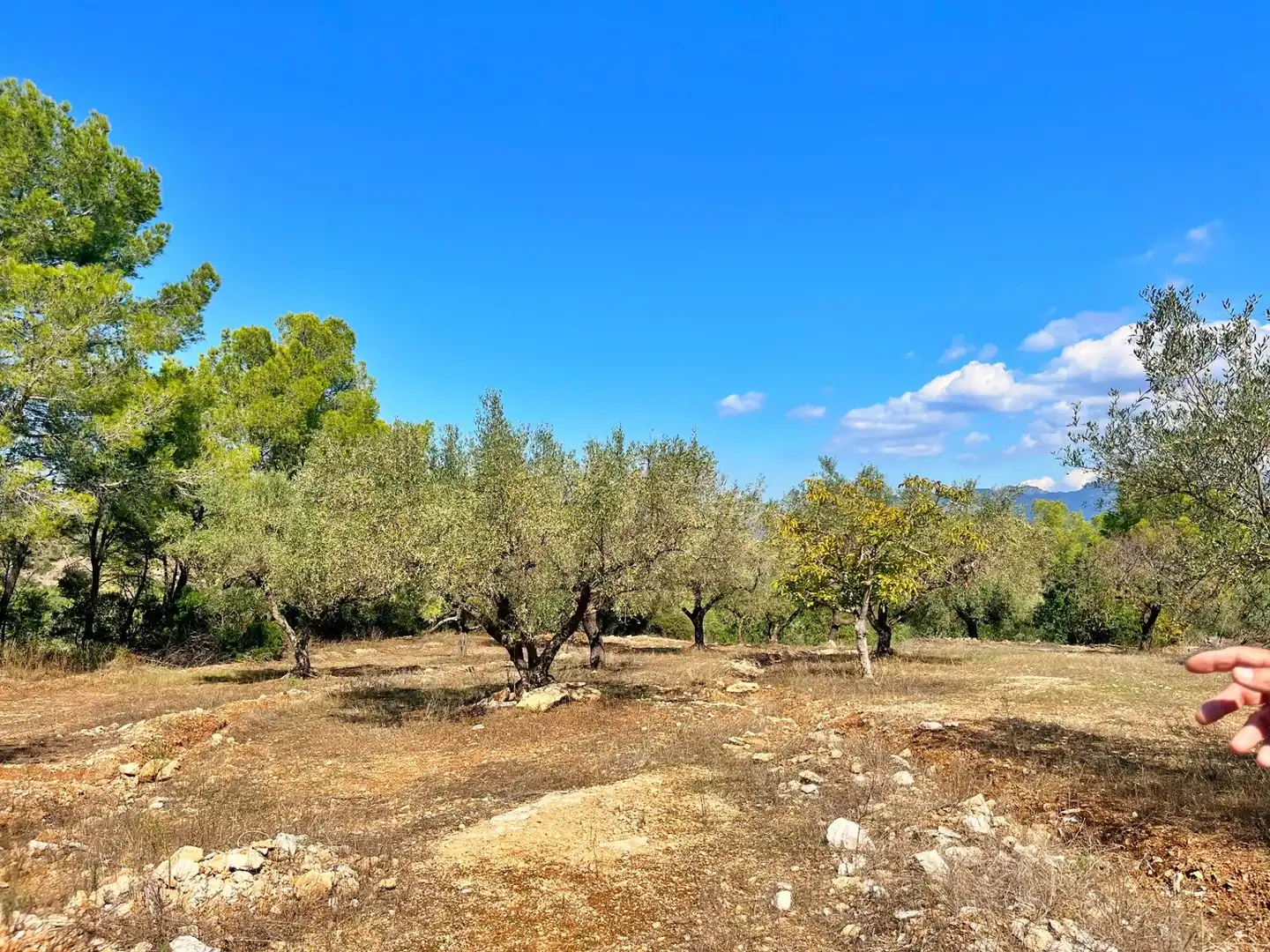 Houses for sale in Aldover