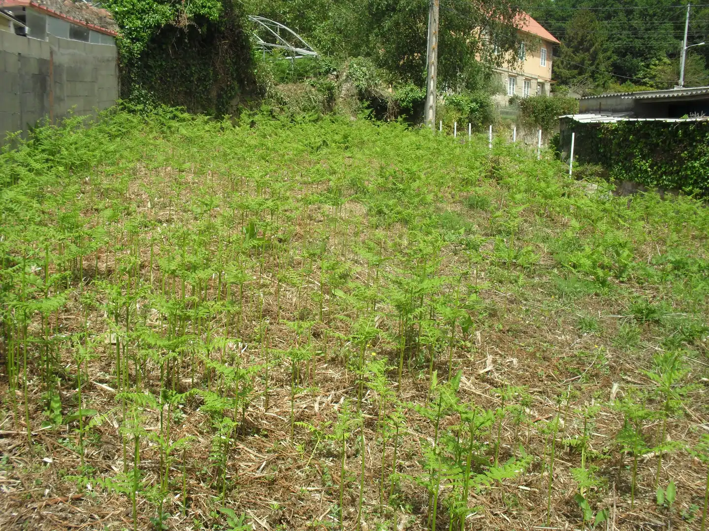 Residencial en venda en Moaña