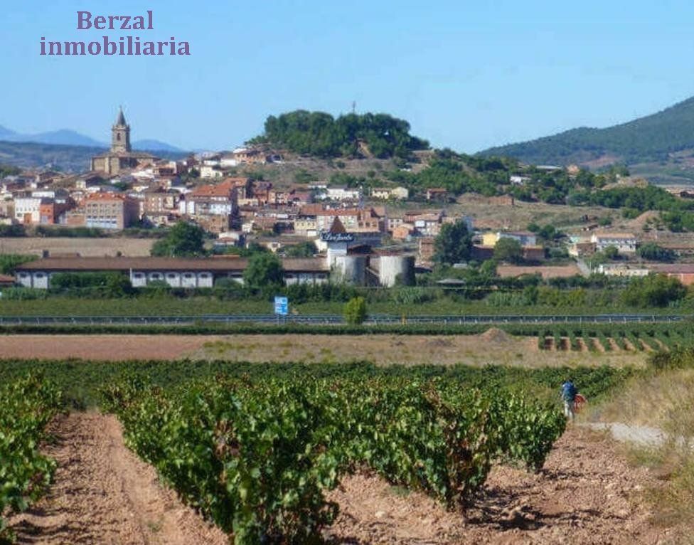 Exterior view of Residential for sale in Navarrete