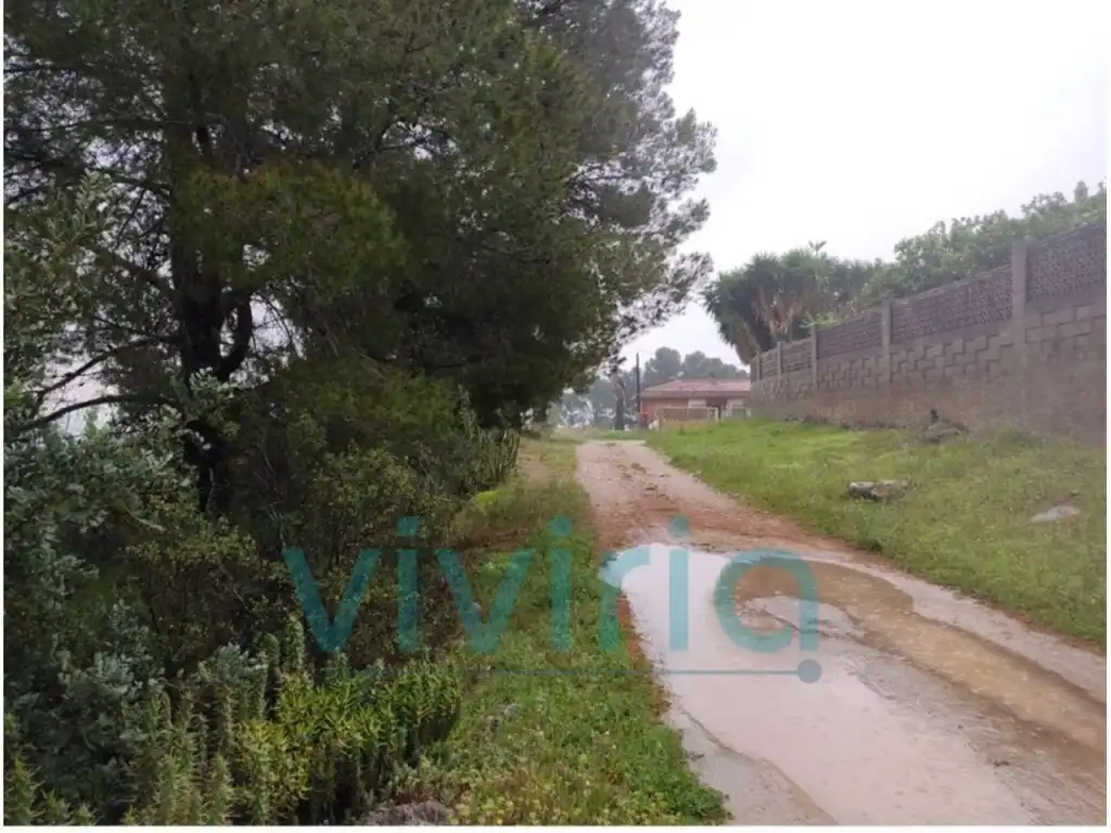 Terreny residencial en venda a Catadau Lloma Molina,46196, Catadau, València, imagen 5