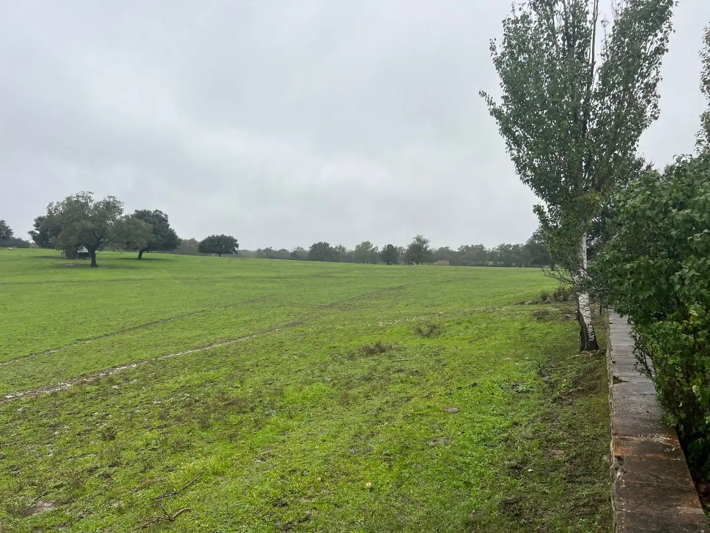 Grundstücke zum Verkauf in Lanzahíta