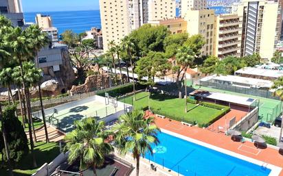 Piscina de Pis en venda en Benidorm amb Jardí privat, Terrassa i Piscina comunitària