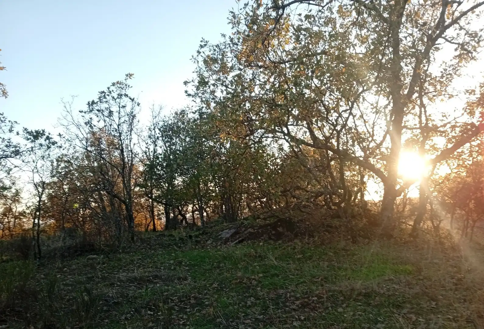 Terreni e lotti in vendita a Viandar de la Vera, imagen 6
