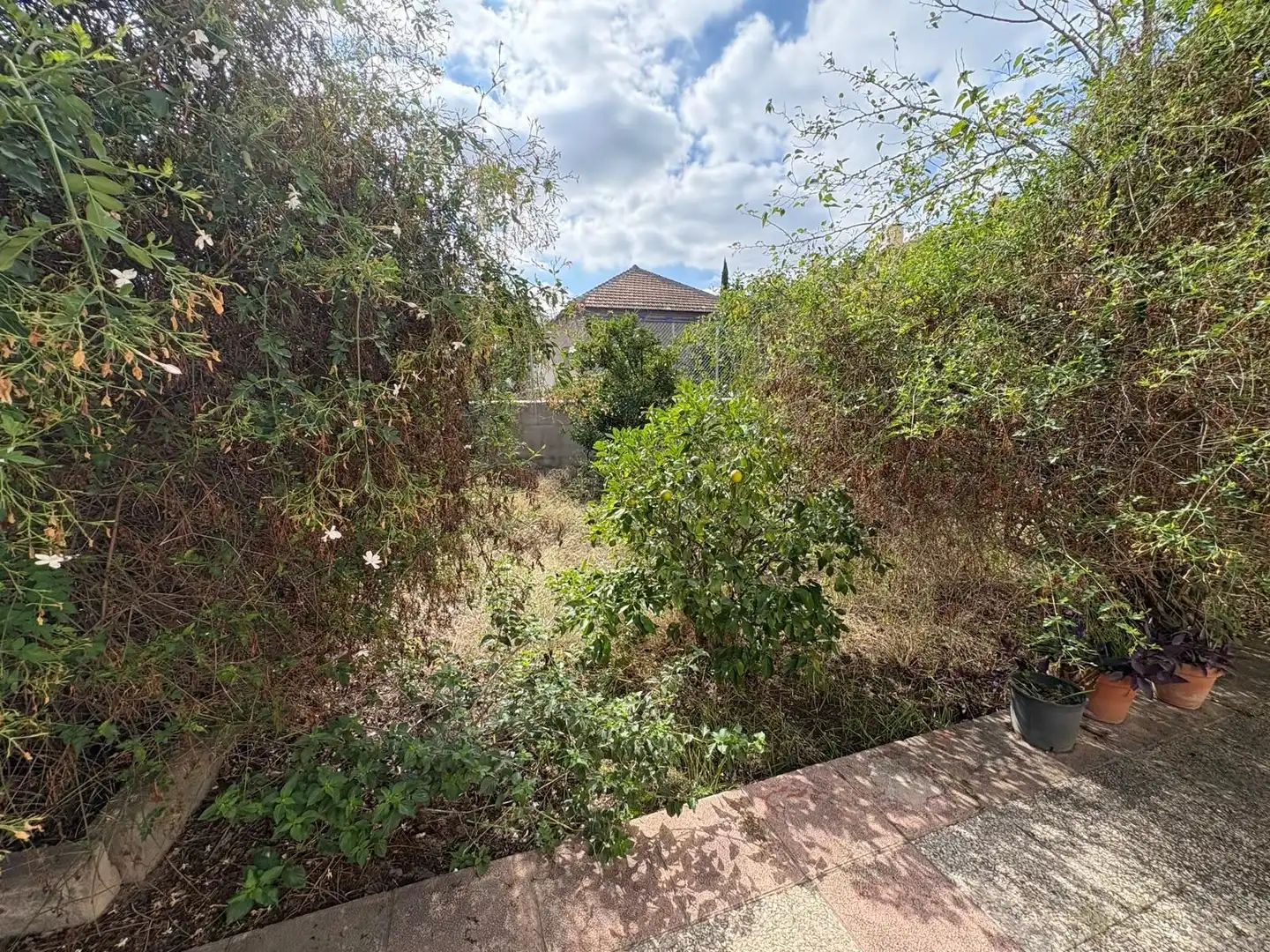Houses for sale in Murcia  with Private garden and Swimming Pool