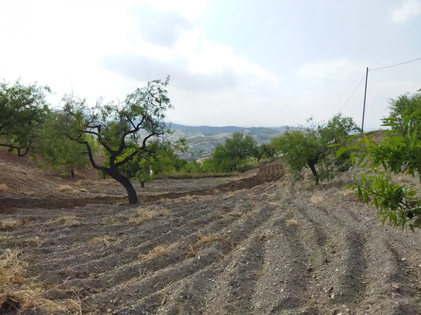 Casa rústica amb jardí en venda a Puerto Lumbreras, imagen 6