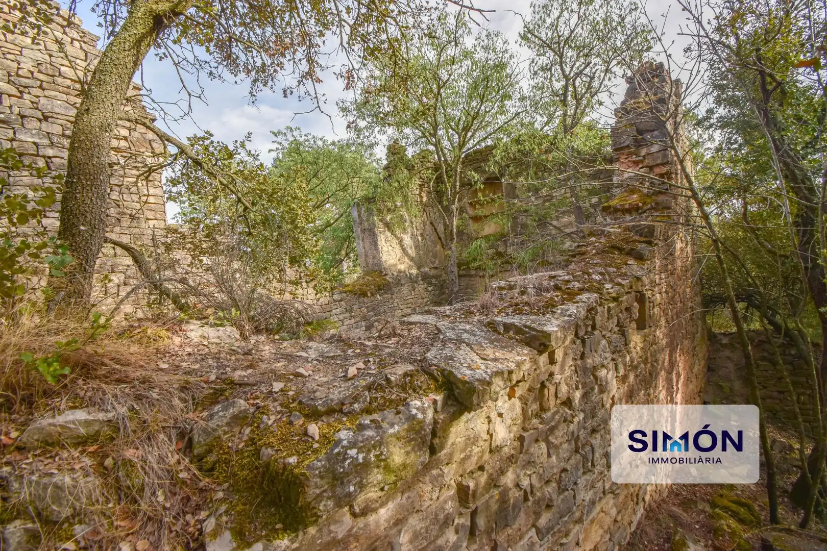Finca rústica en venta en Veciana