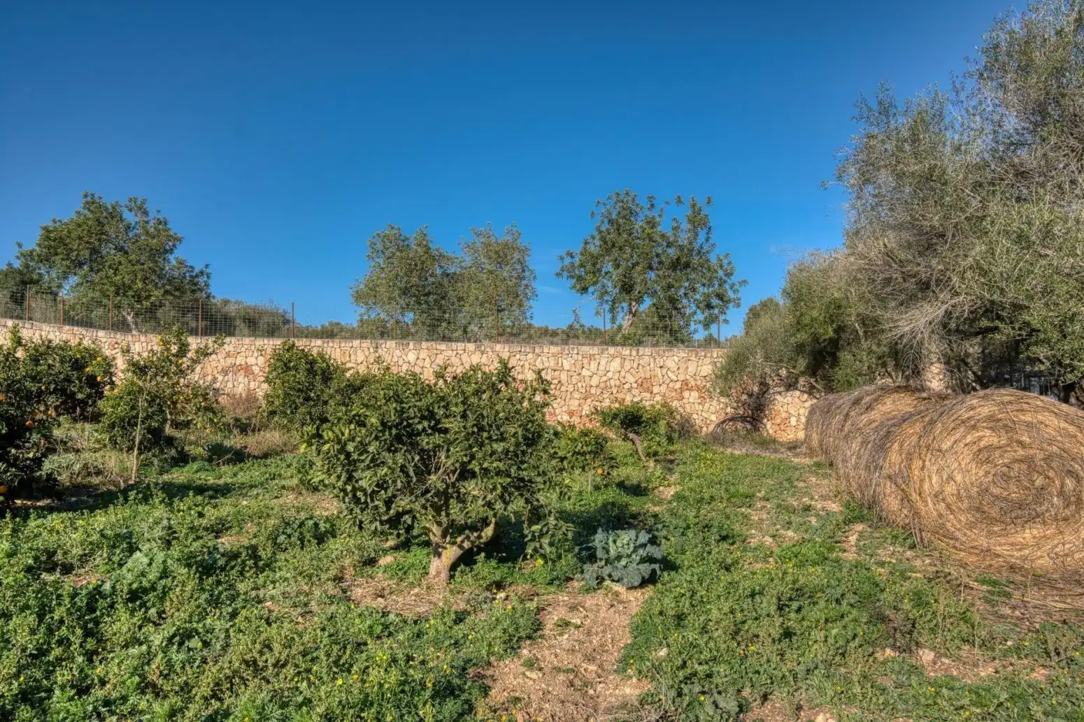 Casa o chalet en venta en Montuïri - Carrer del Sol, Montuïri