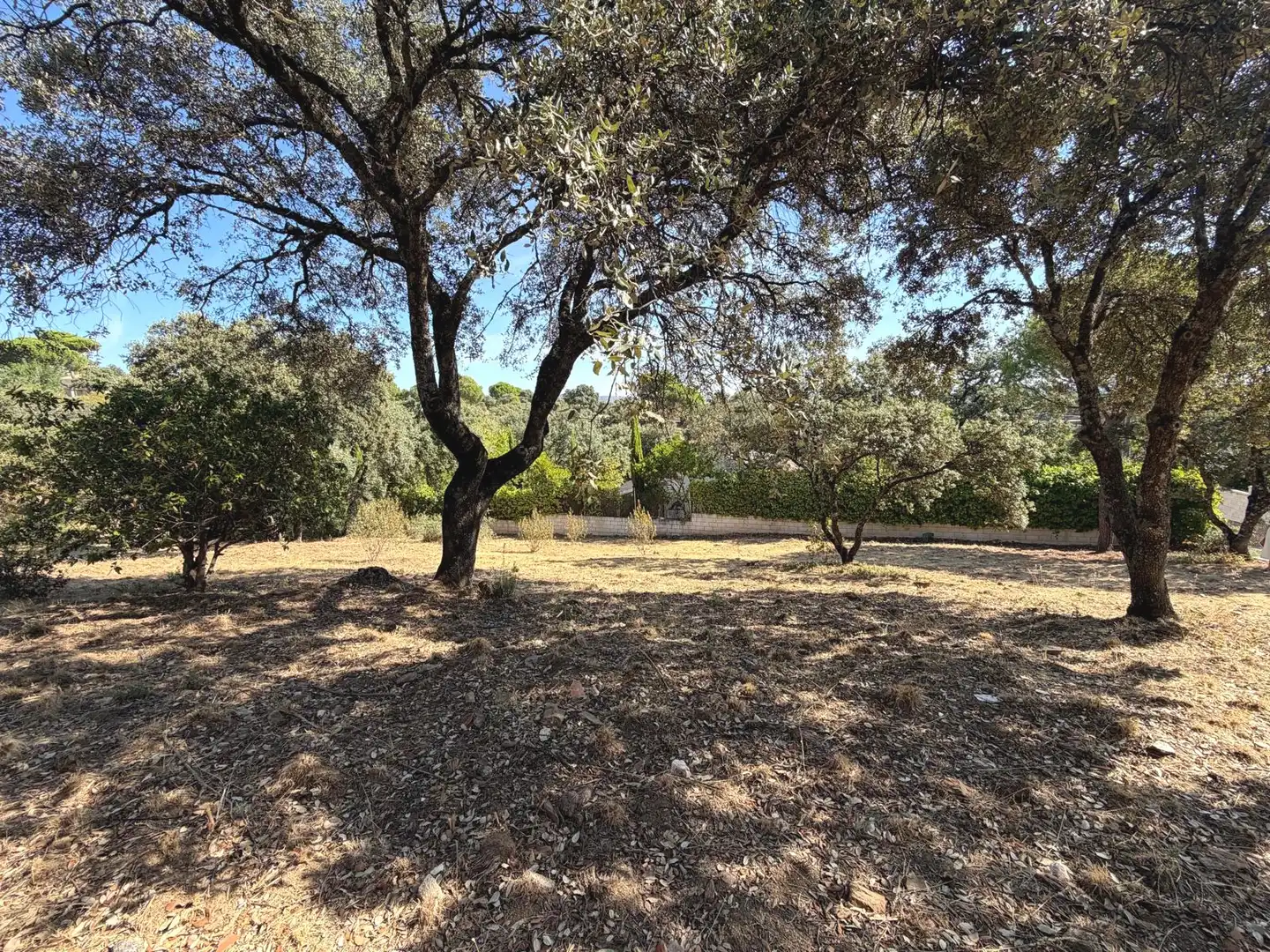 Residential land for sale in Villa del Prado, imagen 5