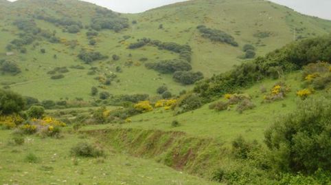 Foto 2 de Finca rústica en venta en Cañada de Matatoros, Tarifa ciudad, Tarifa