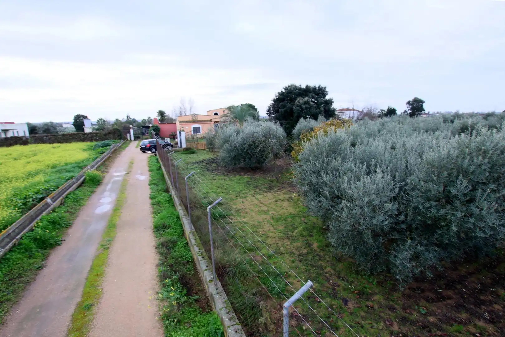 Finca rústica en venda en Montijo