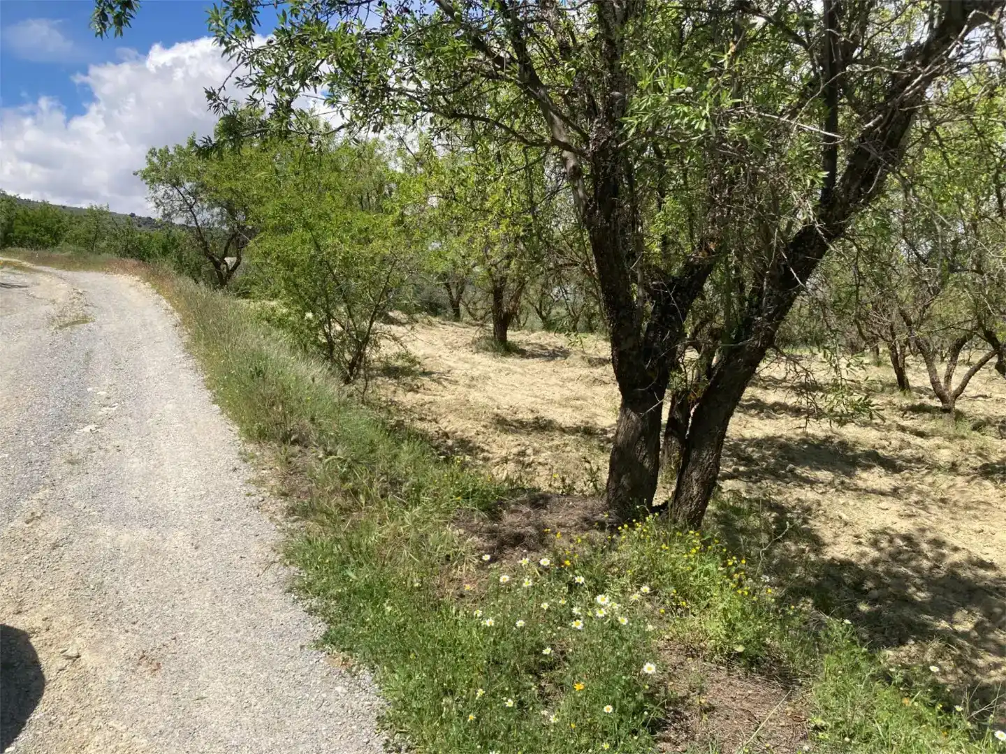 Finca rústica en venda en Güéjar Sierra