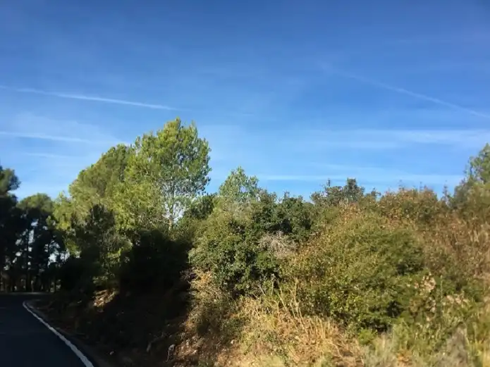 Terreno rustico in vendita a Ptda L`Arboçar, imagen 7