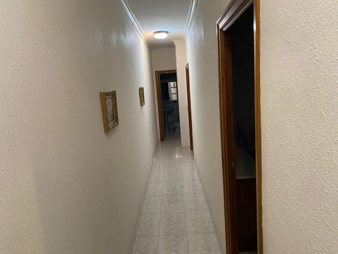 Wohnung zur Miete in Parque de la Constitución, imagen 6