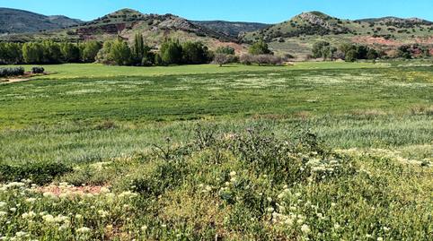 Foto 5 de Terreno en venta en Alcaraz, Albacete