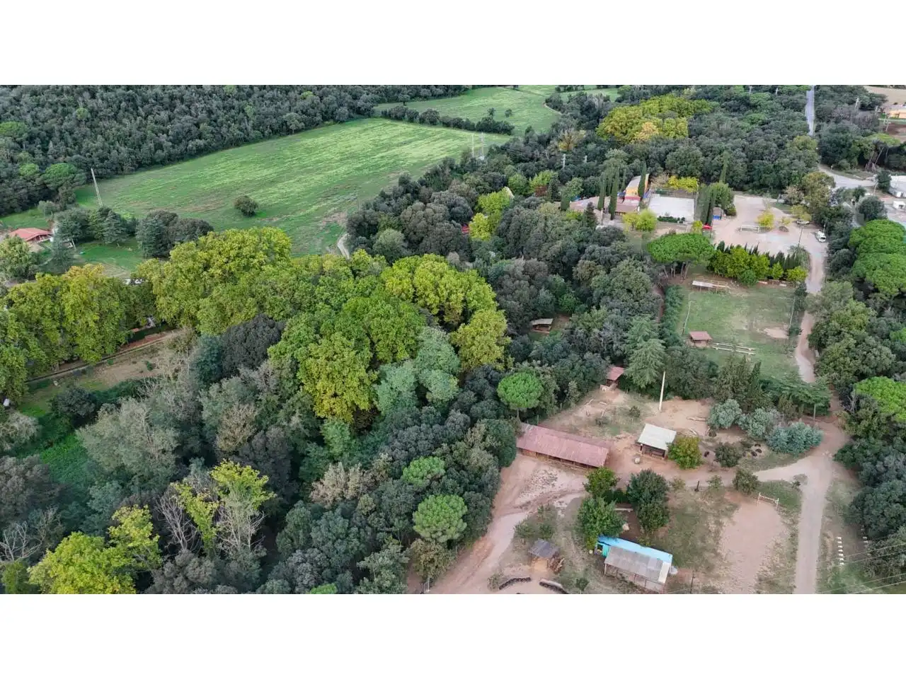Local commercial à vendre à Paseo Rectoria Vella 1, imagen 3