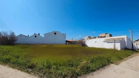 Photo 2 of Industrial buildings for sale in Las Aves, Madrid