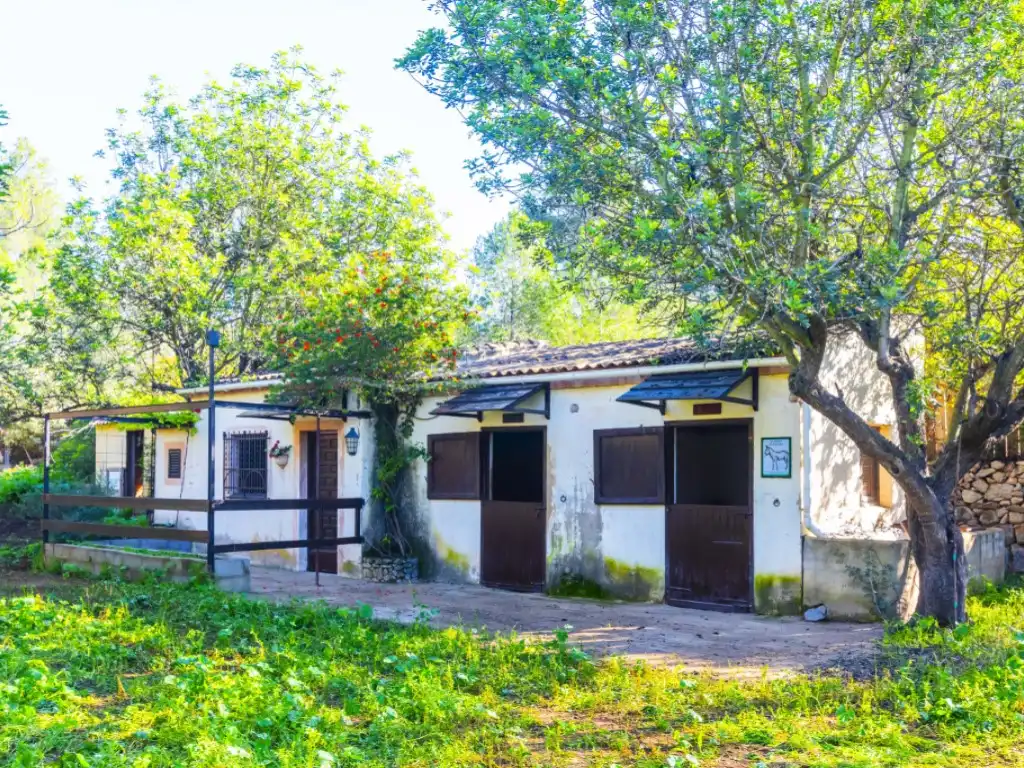 Vista exterior de Casa o xalet en venda en Borriol