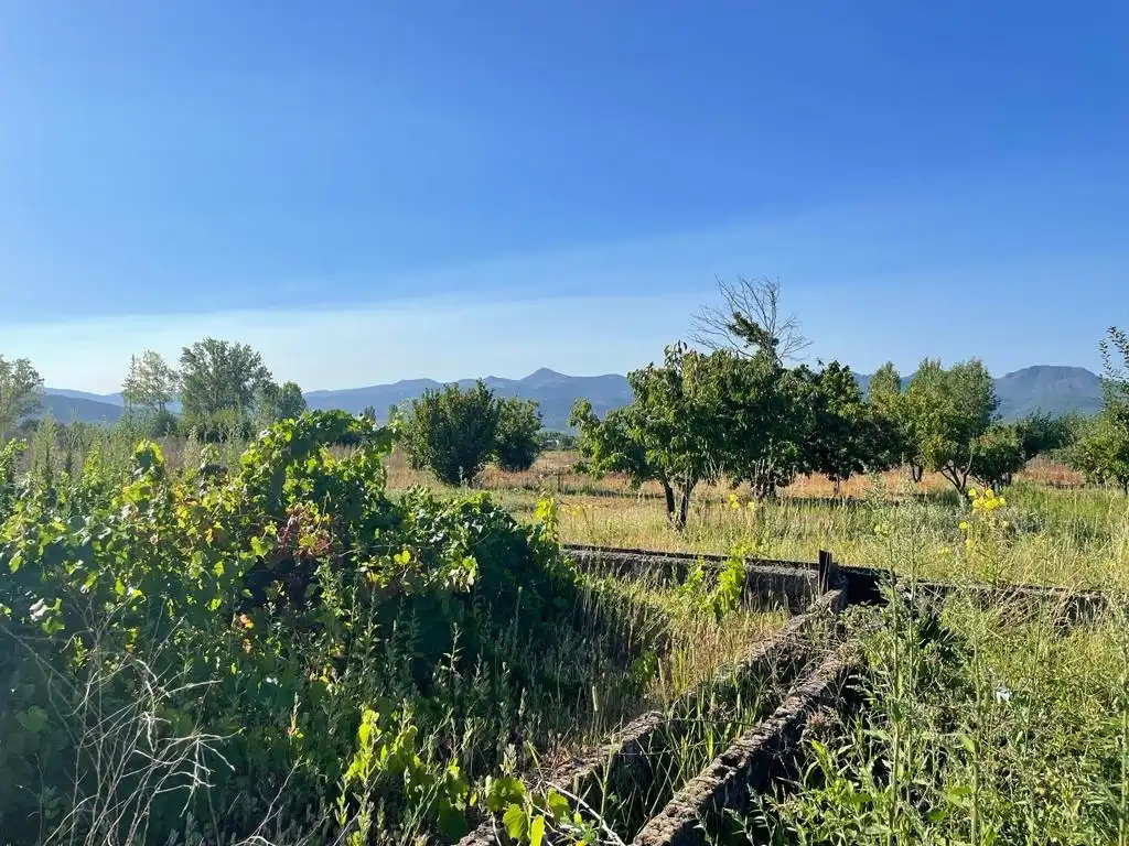Terreno en venta en Camponaraya