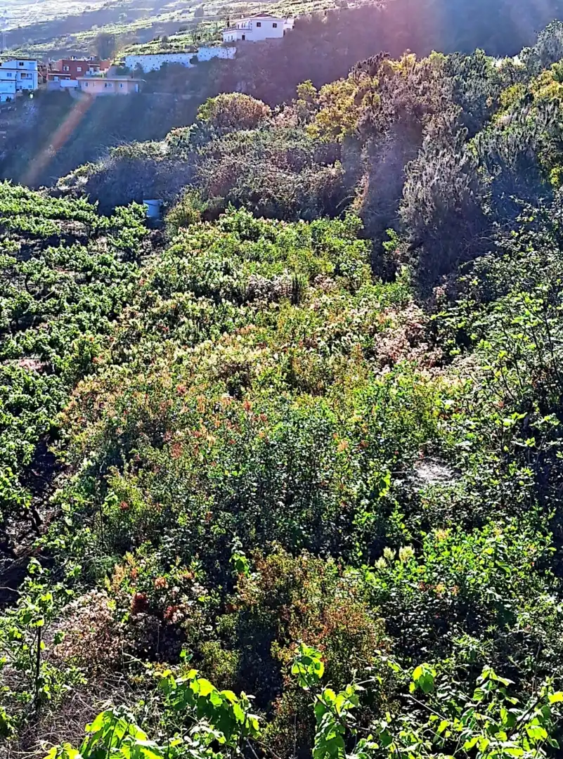 Rural land for sale in La Corujera