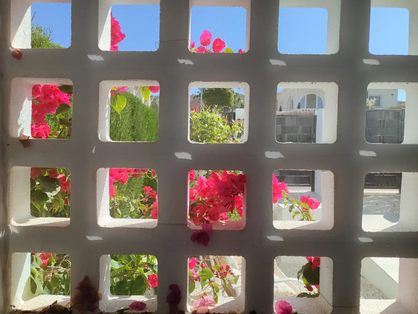 Jardín de Casa o chalet en venta en Busot con Aire acondicionado, Calefacción y Jardín privado