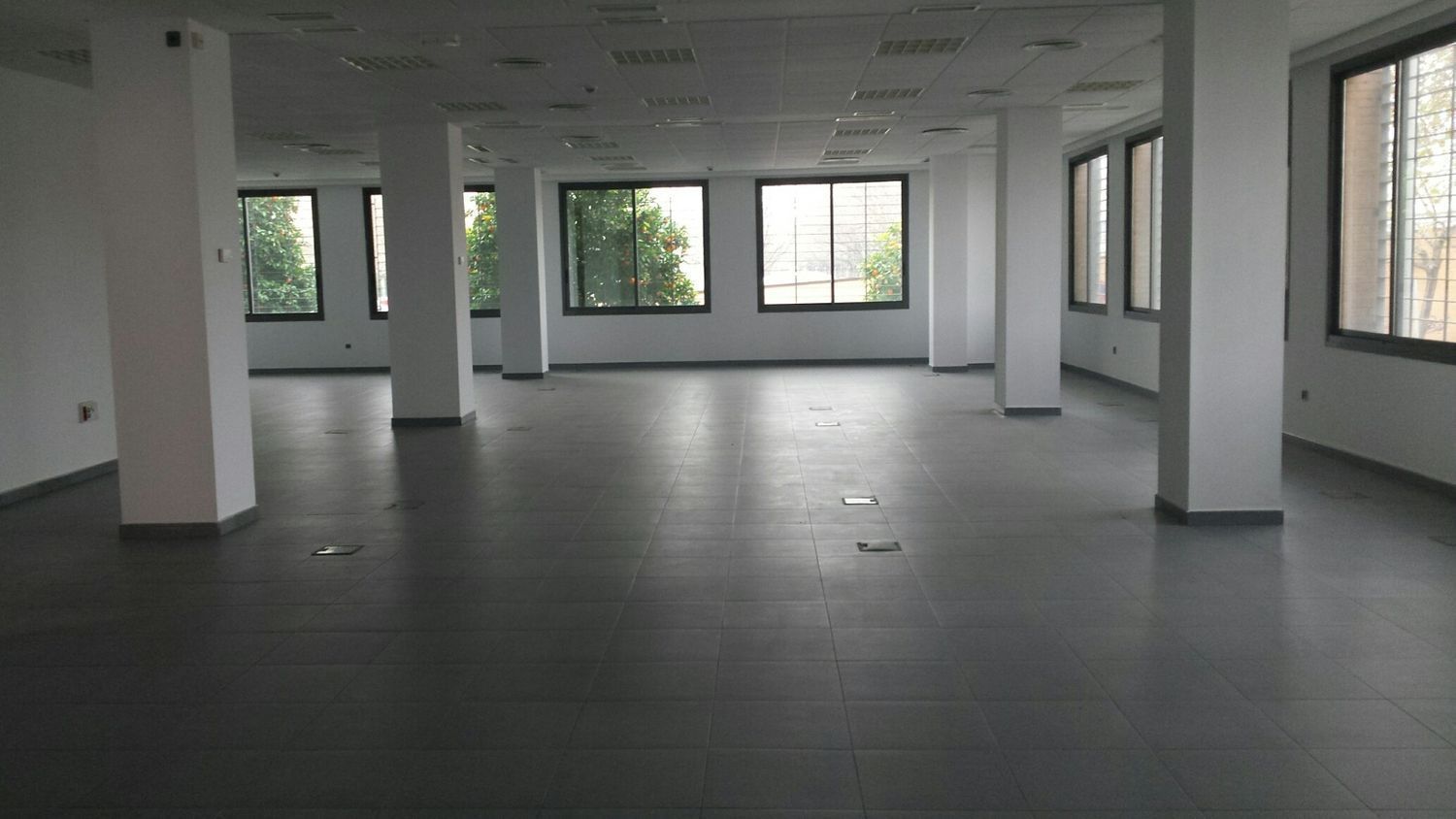 Oficina de lloguer en  Sevilla Capital