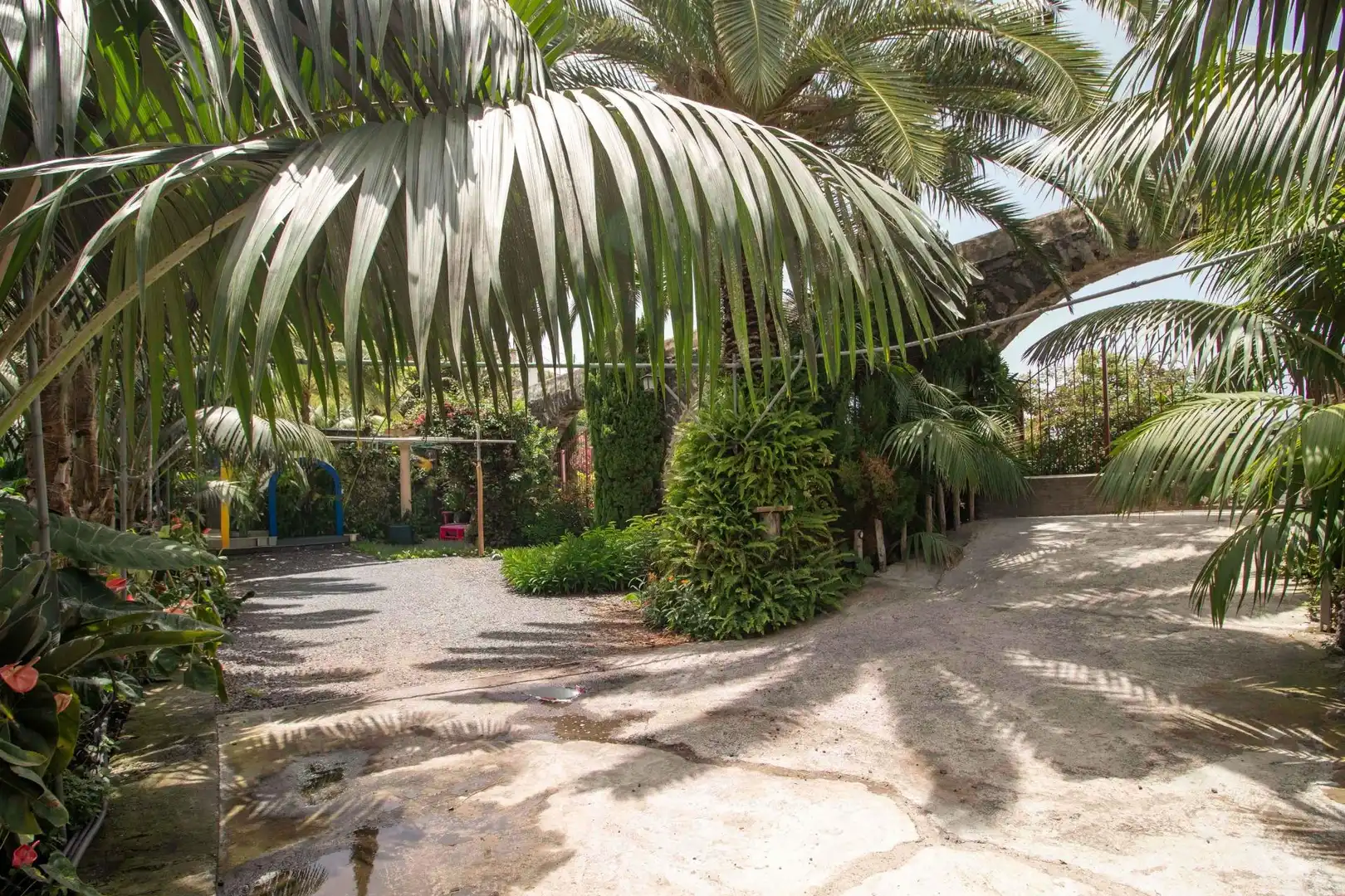 Jardí de Casa o xalet en venda en Icod de los Vinos amb Jardí privat, Terrassa i Traster
