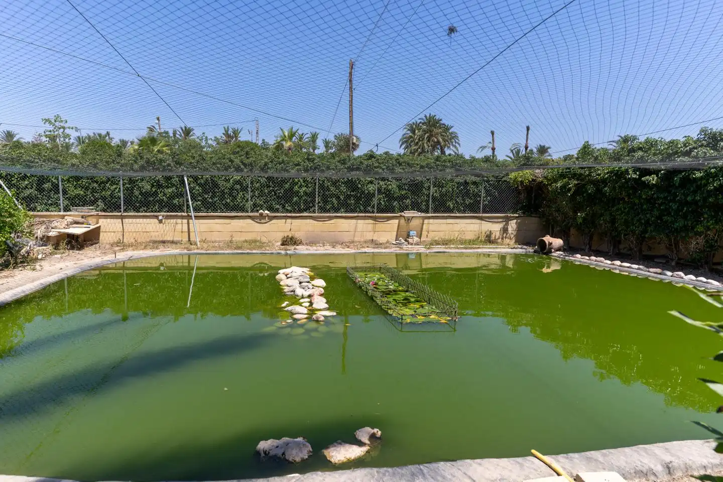 Swimming pool of Houses for sale in Elche / Elx  with Air Conditioner, Private garden and Terrace