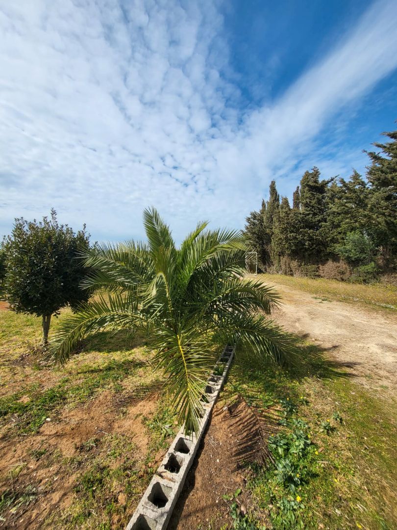 Casa adosada en venda en Medina Sidonia amb Calefacció, Jardí privat i Terrassa