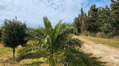 Photo 2 of Single-family semi-detached for sale in Medina Sidonia, Cádiz