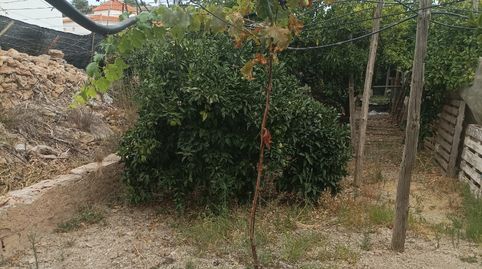 Casa con huerto, imagen 2