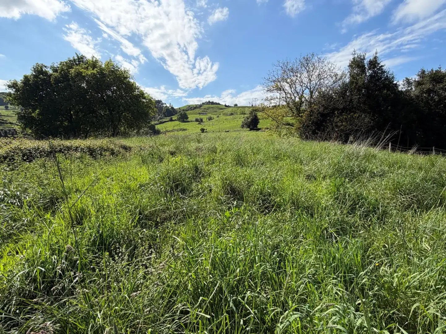 Wohnbaugrundstück zum Verkauf in Villanueva - Villanueva de Villaescusa, imagen 5