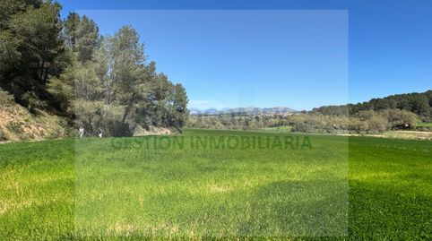 Terreno rustico en venta en Ullastret
