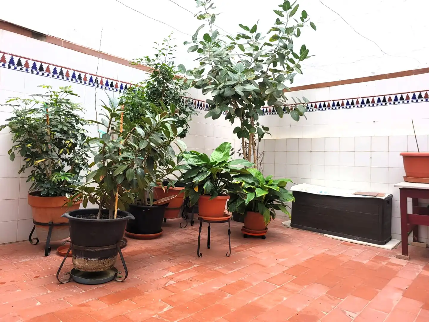 Piso con terraza en venta en Campoamor - Altozano, imagen 5
