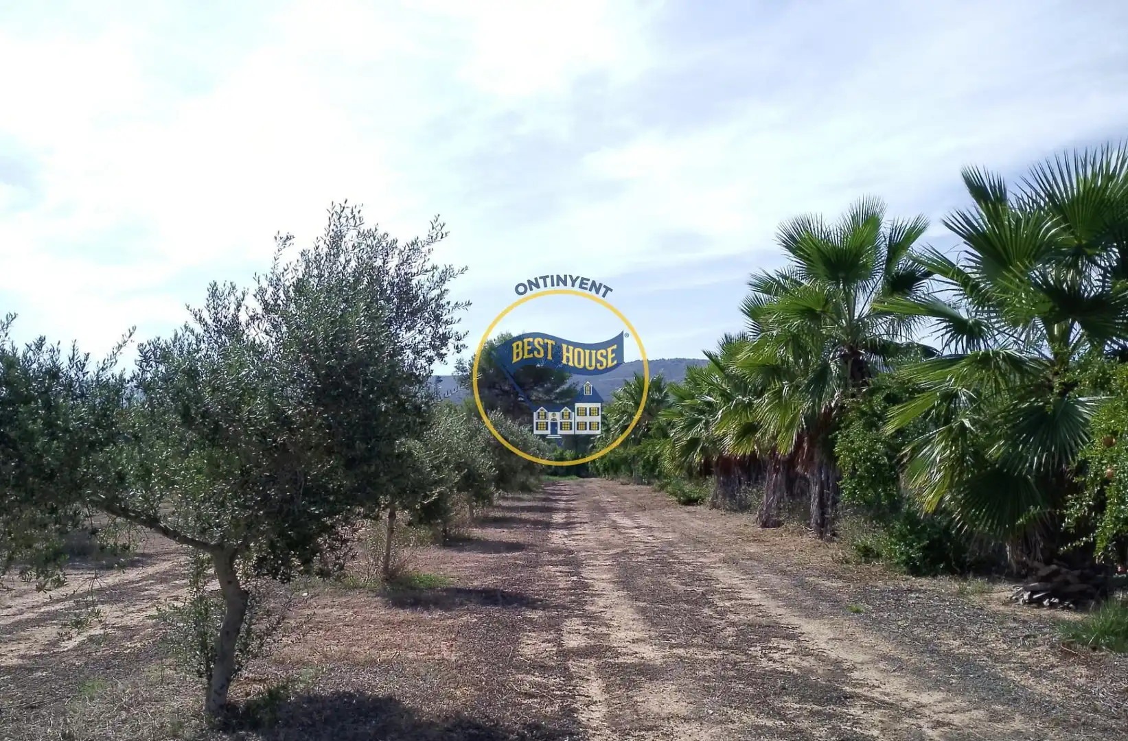 Terrenys i solars en venda a Agullent, imagen 18