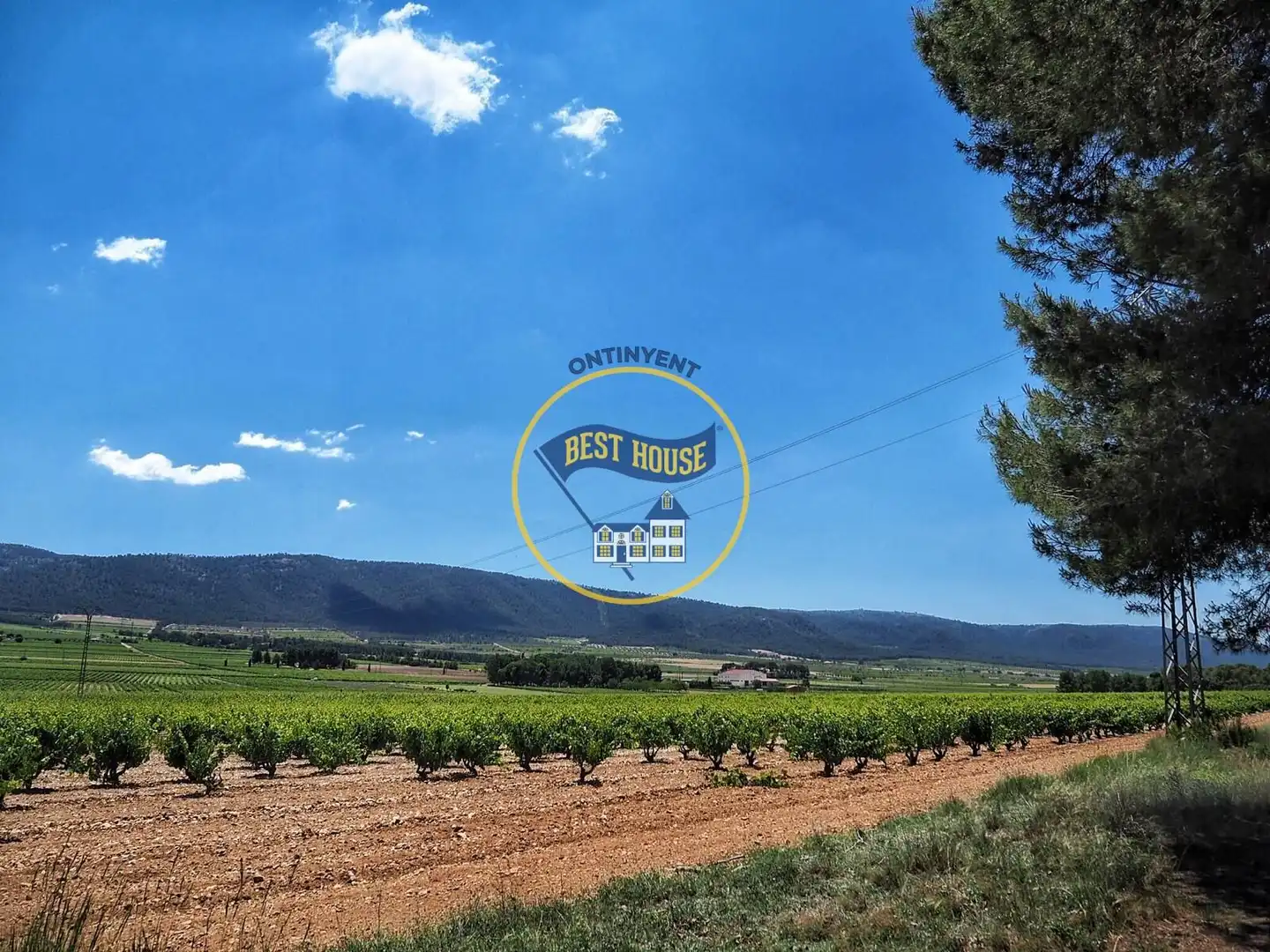 Casa o xalet en venda en Fontanars dels Alforins amb Jardí privat, Piscina i Moblat