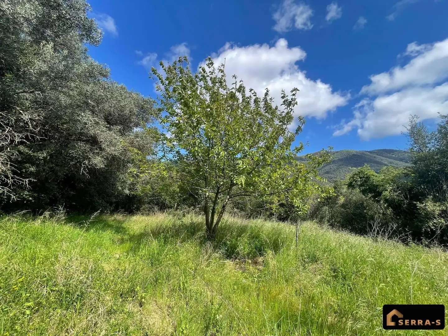 Maison rustique avec terrasse à vendre à Sant Iscle de Vallalta, imagen 81