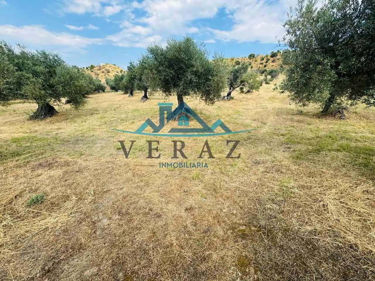 Finca rústica en venta en Las Herencias con Jardín privado y Terraza