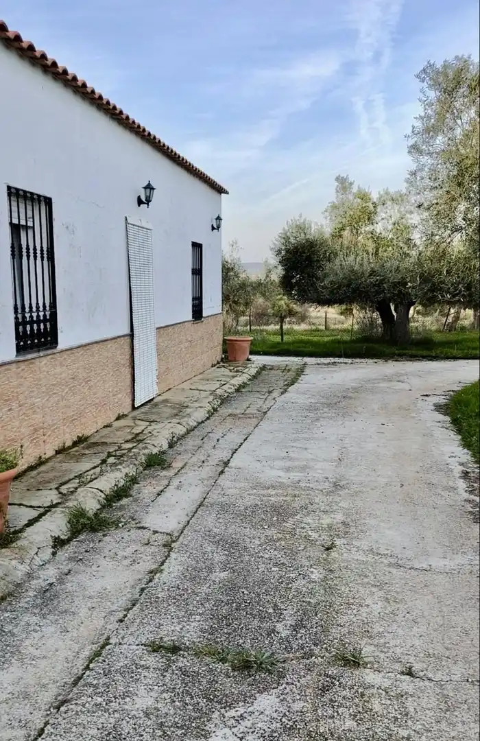 Vista exterior de Finca rústica en venta en Peñarroya-Pueblonuevo con Jardín privado, Trastero y Piscina