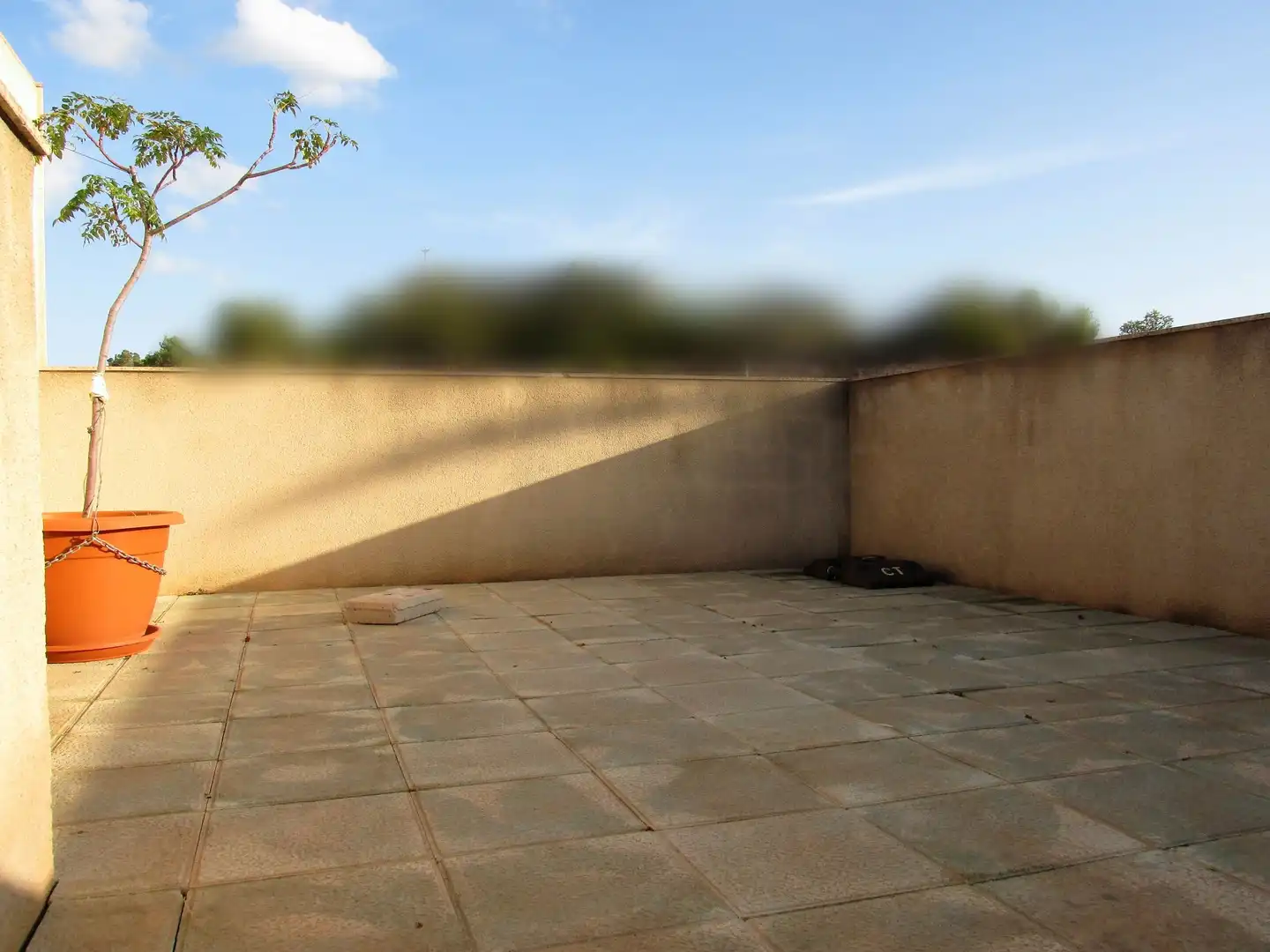 Villa mit Terrasse zum Verkauf in Villanueva del Río Segura, imagen 41