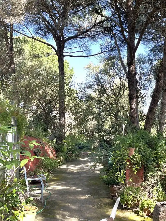 Jardí de Casa o xalet en venda en San Roque amb Calefacció, Jardí privat i Traster