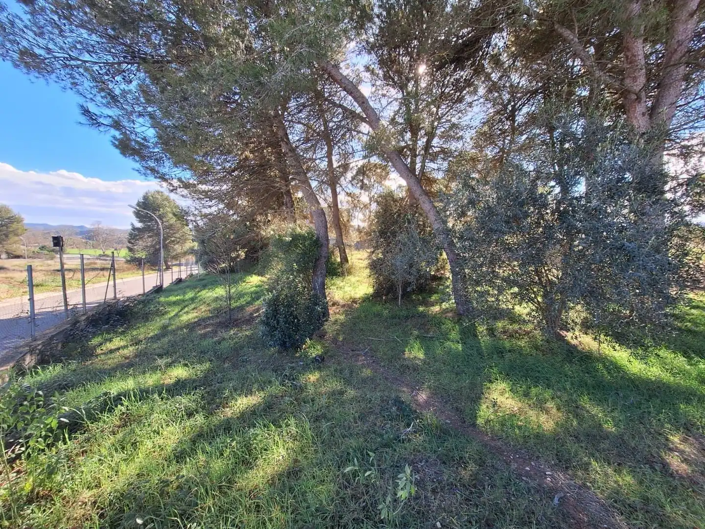 Terrenys i solars en venda a Sesoliveres - Pla de la Massa