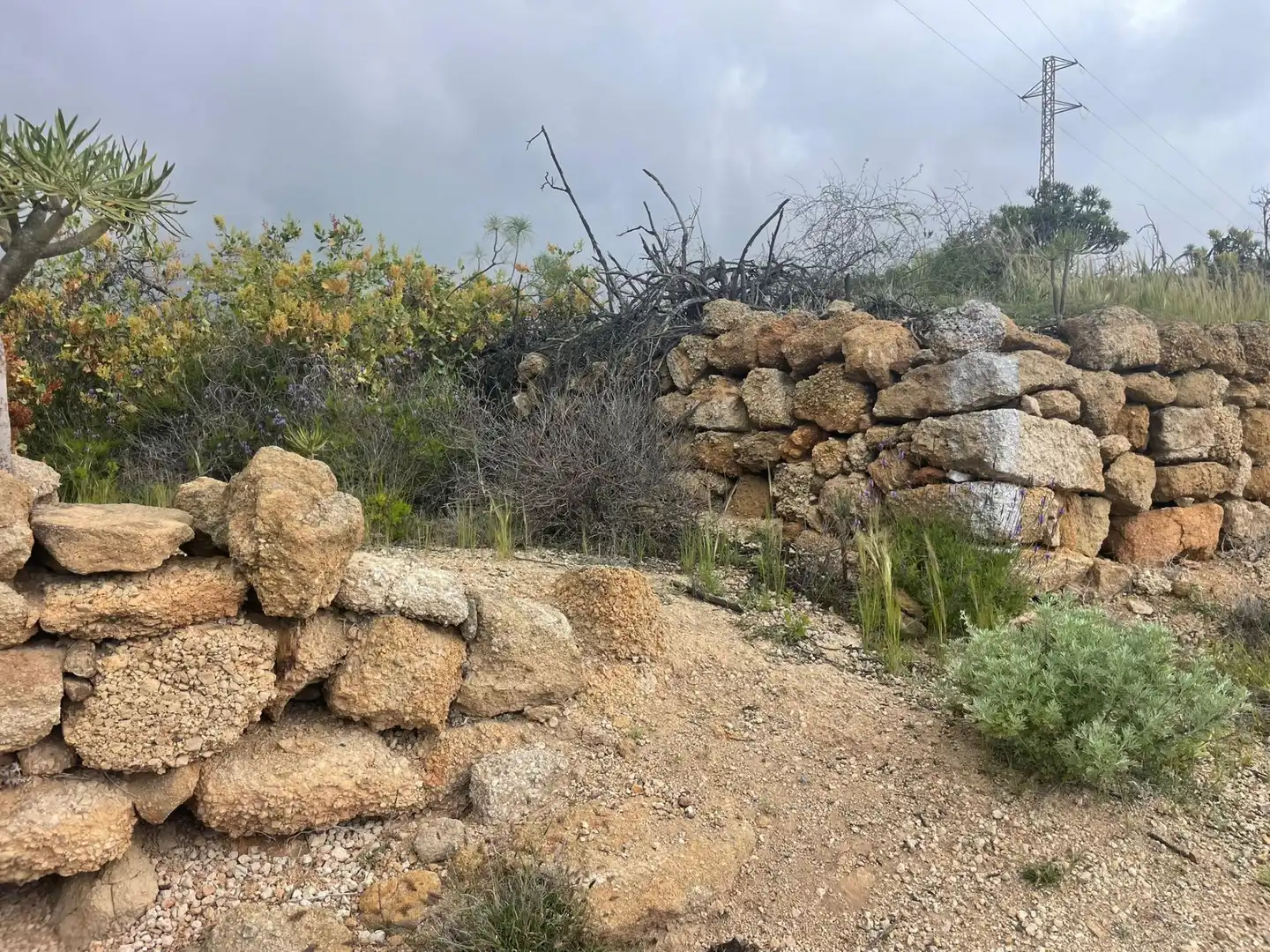 Terreno rustico in vendita a Arico