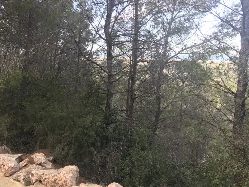 Terreny rústic en venda a La Font d'en Carròs, imagen 2