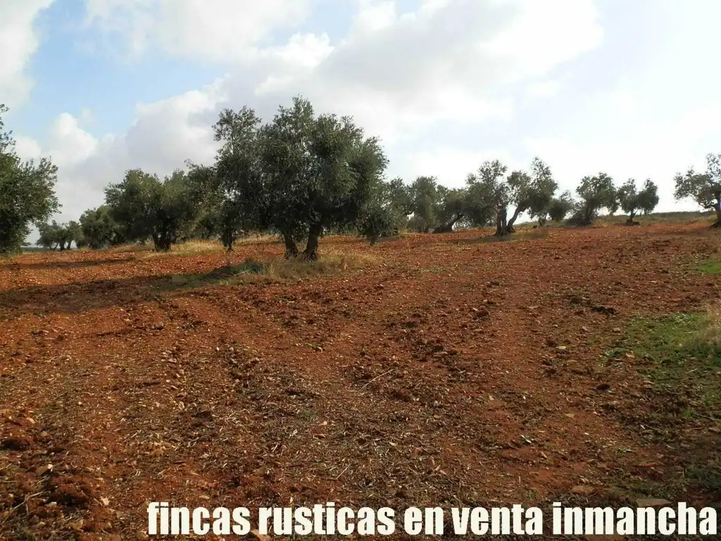 Rural land for sale in Valdepeñas, imagen 12