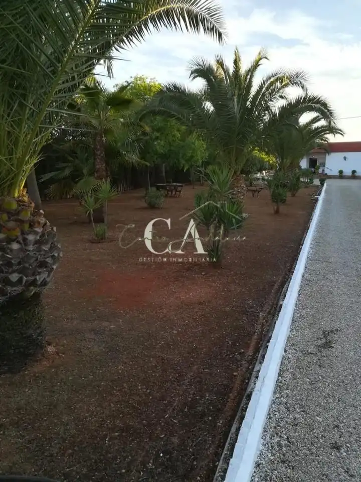 Casa amb jardí en venda a La Mina, imagen 12