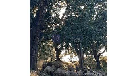 Foto 3 de Casa o chalet en venta en Diseminados Callejones, Pedanías de Badajoz, Badajoz Capital