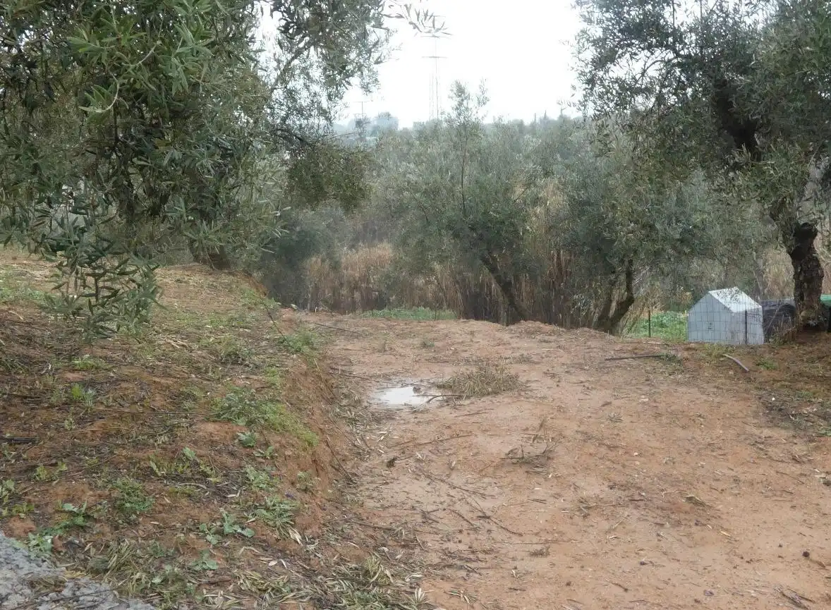 Terreni e lotti in vendita a Peligros, imagen 9