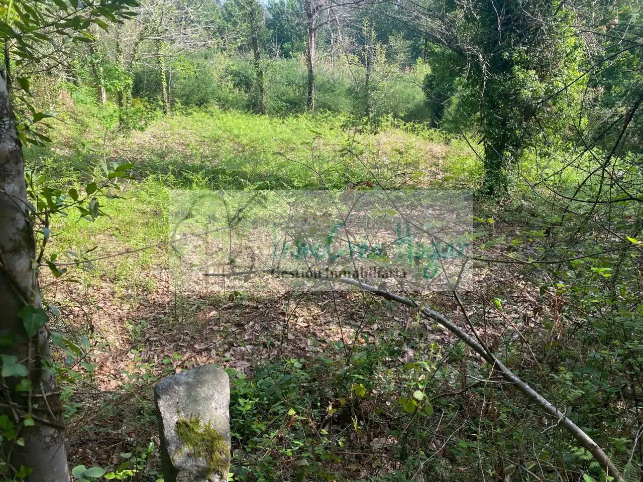 Terreny rústic en venda a Salvaterra de Miño, imagen 17